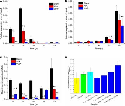 Quorum Quenching Bacteria Bacillus velezensis DH82 on Biological Control of Vibrio parahaemolyticus for Sustainable Aquaculture of Litopenaeus vannamei